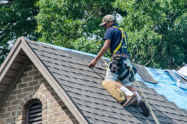 Best Shingle Roofing Installation  in Huntland, TN